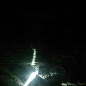 Meet your Posher, Dani